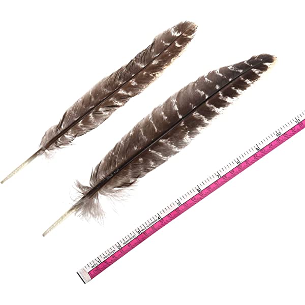 Natural Turkey Feathers Bulk