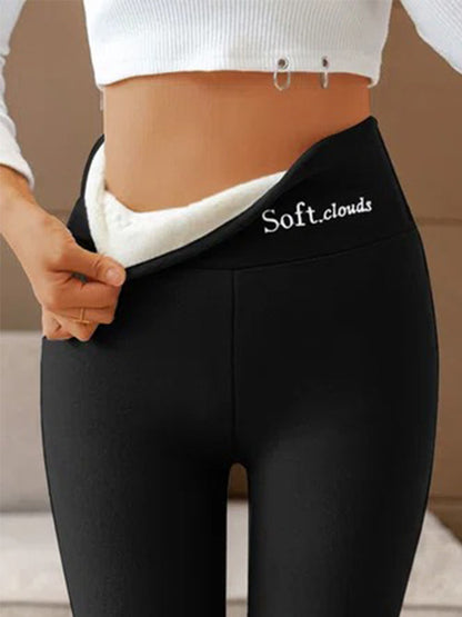 Basics Fleece Lined High Waist Skinny Leggings