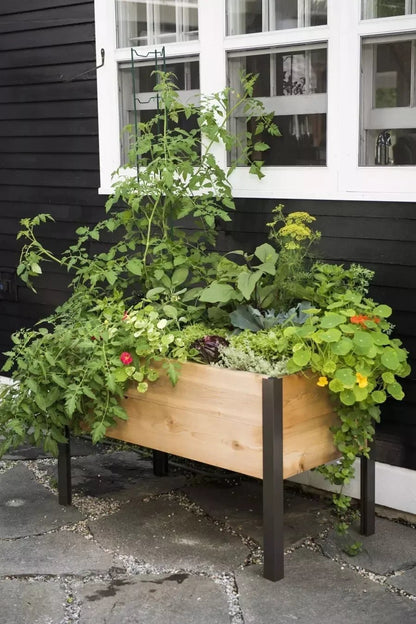 Flash sale ⚡Limited Stock💥Self-Watering Eco-Stained Elevated Planter Box⭐