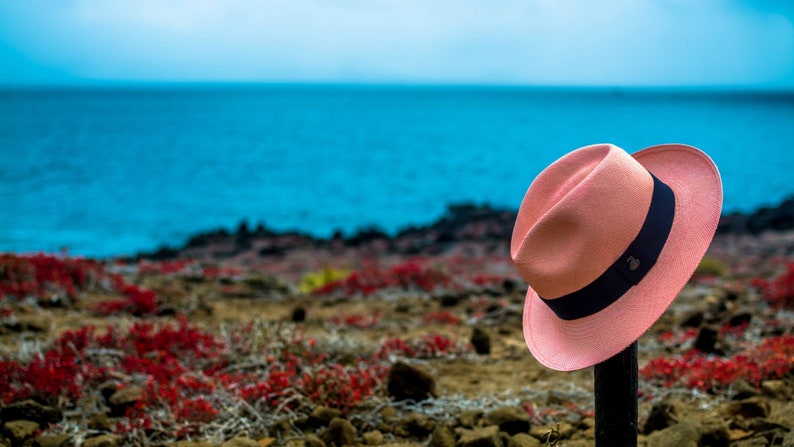 Pink Classic Fedora | Genuine Panama Hat | Toquilla Straw | Handwoven in Ecuador - EA - HatBox Included