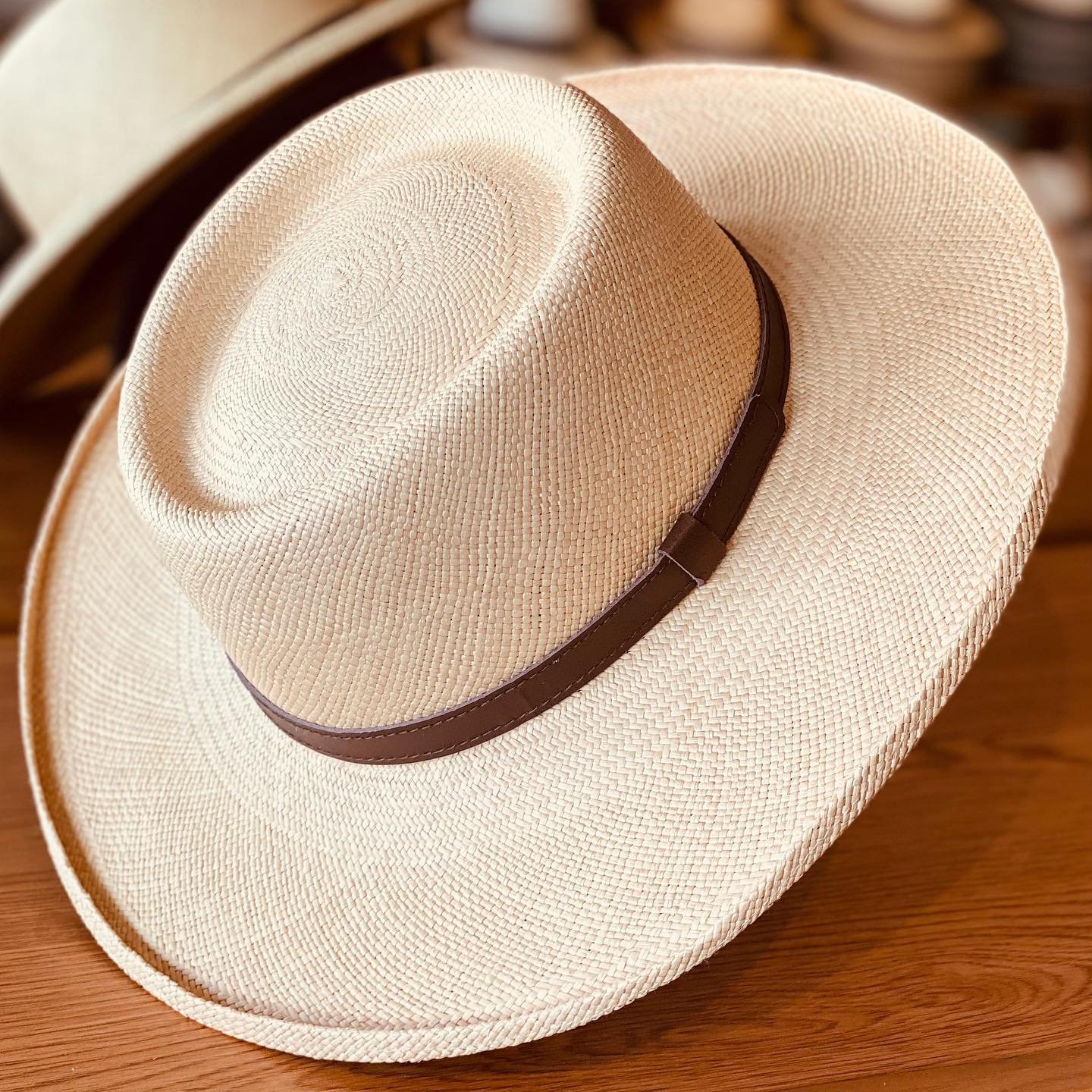 [Pre-sale] ! 🌿Can be rolls up for packing -Handmade Panama Hat-Planter 181