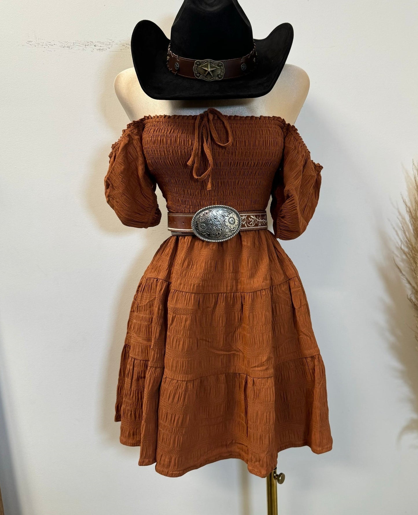 Casual Rust Off the shoulders Dress