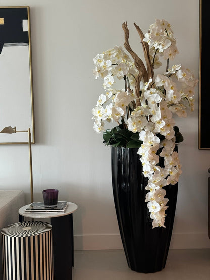 San Jose Planter in Glossy Black  with Cascading White Orchids