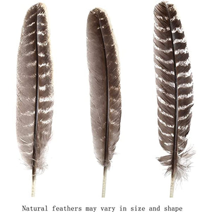 Natural Turkey Feathers Bulk