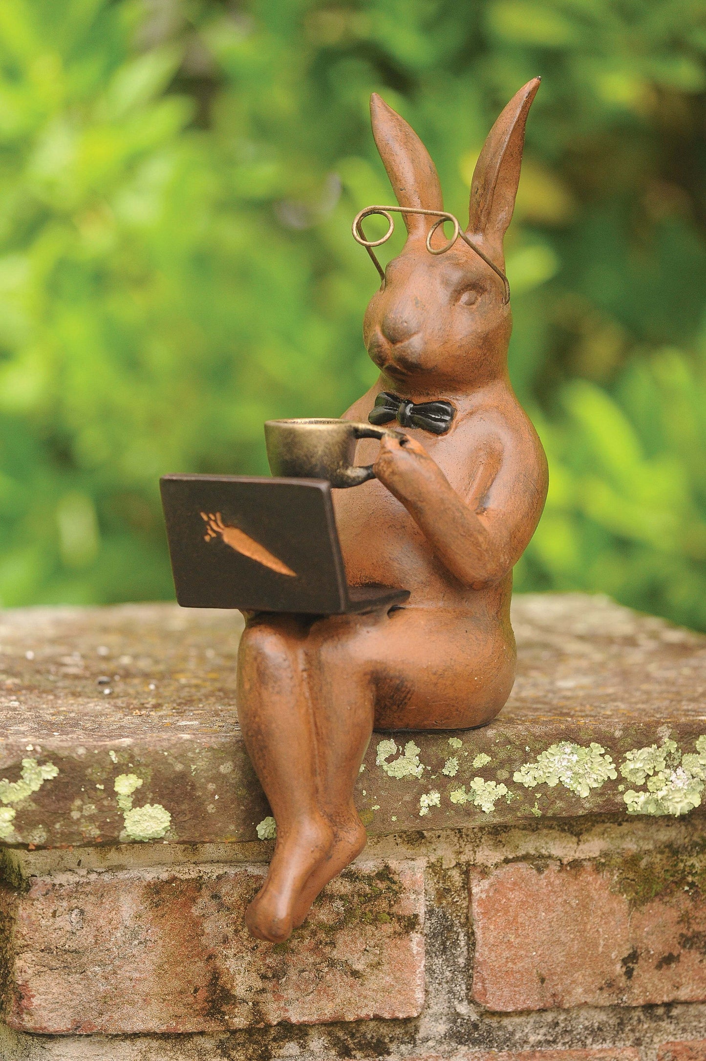 Rabbit with Laptop