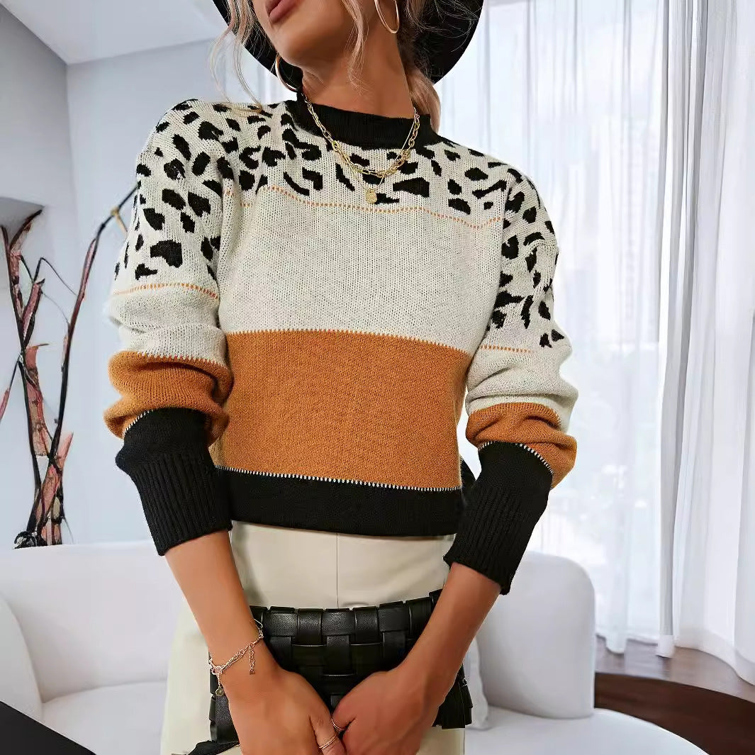 Women's Leopard Print Colorblock Round Neck Casual Sweater