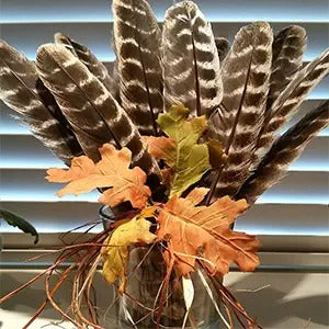 Natural Turkey Feathers Bulk