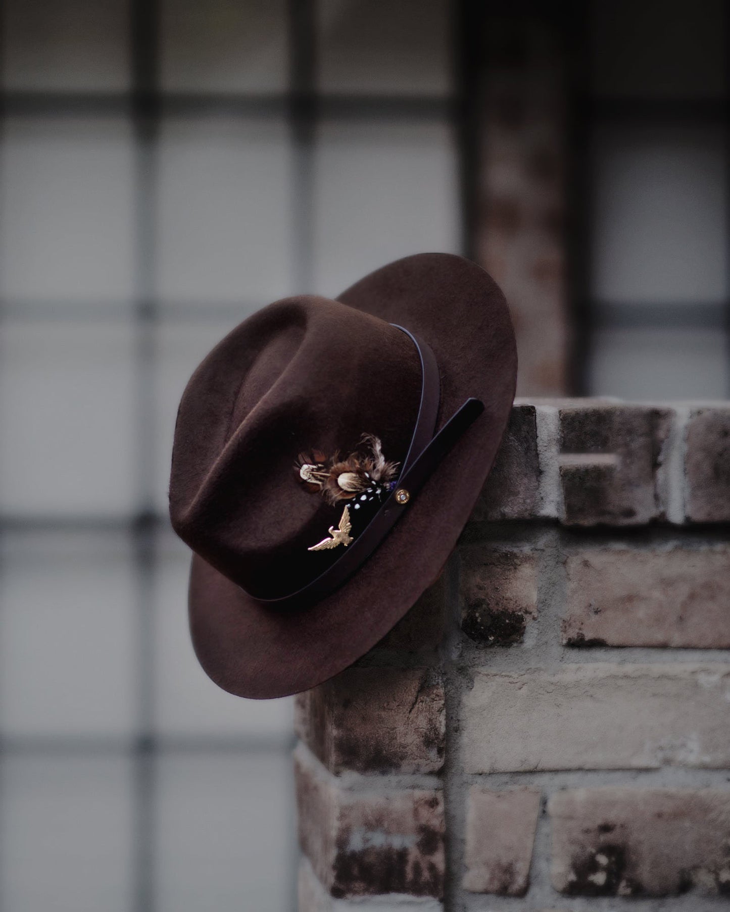 Griffin Fedora – Brown [Fast shipping and box packing]