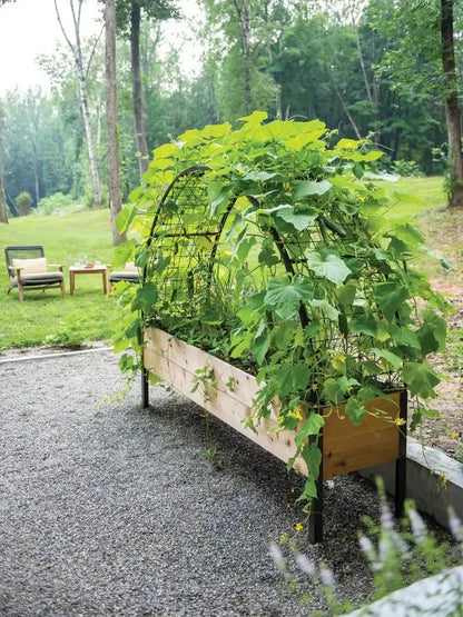 Flash sale ⚡ Limited Stock 💥Planter Box with Arch Trellis - Big Box Retailer