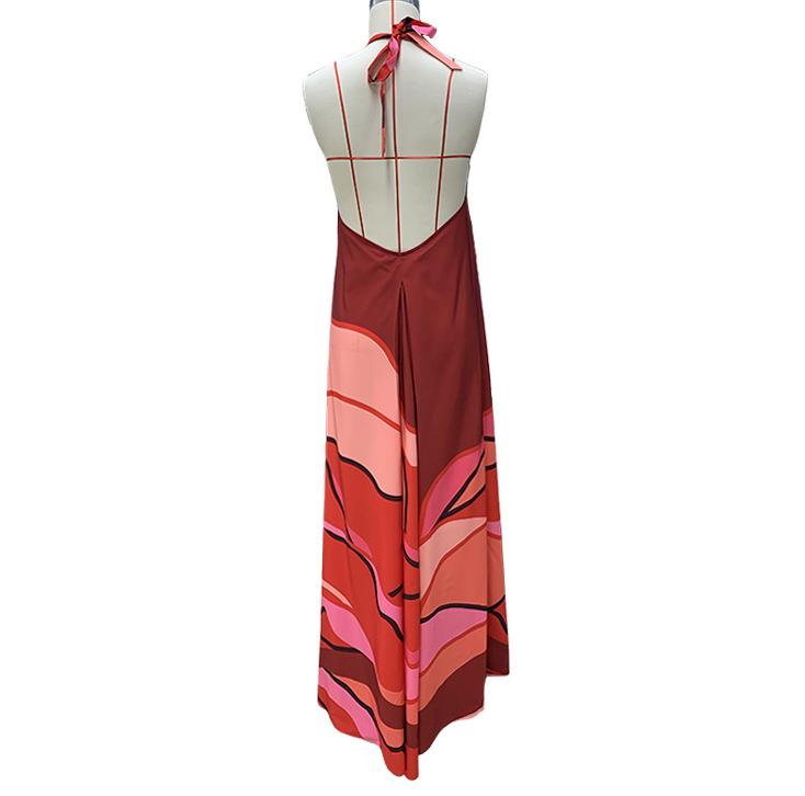 Halter Neck Printed Backless A-Line Maxi Dress