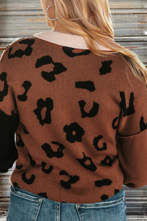 Leopard Colorblock Sweater