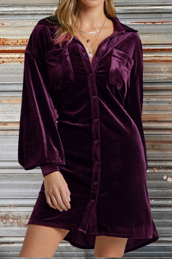 Collared Button Down Velvet Shirt Dress