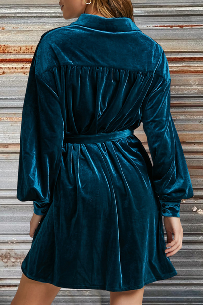 Collared Button Down Velvet Shirt Dress