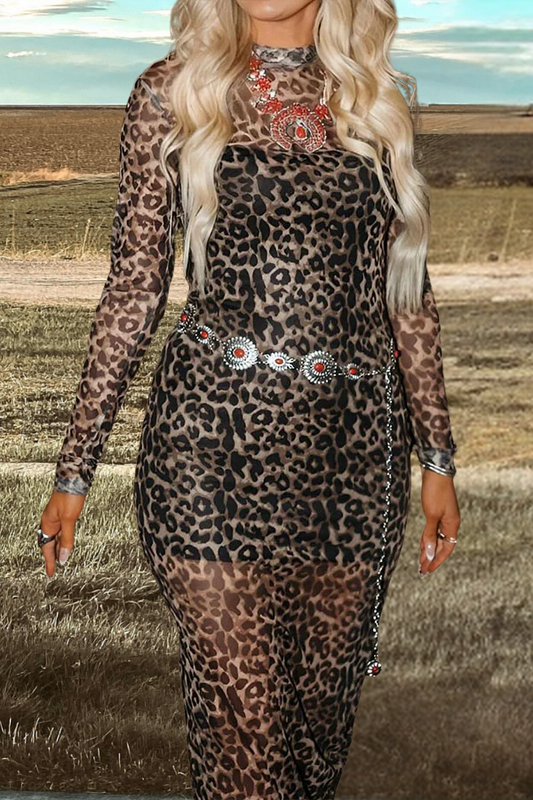 Leopard Print Slit Mesh Dress