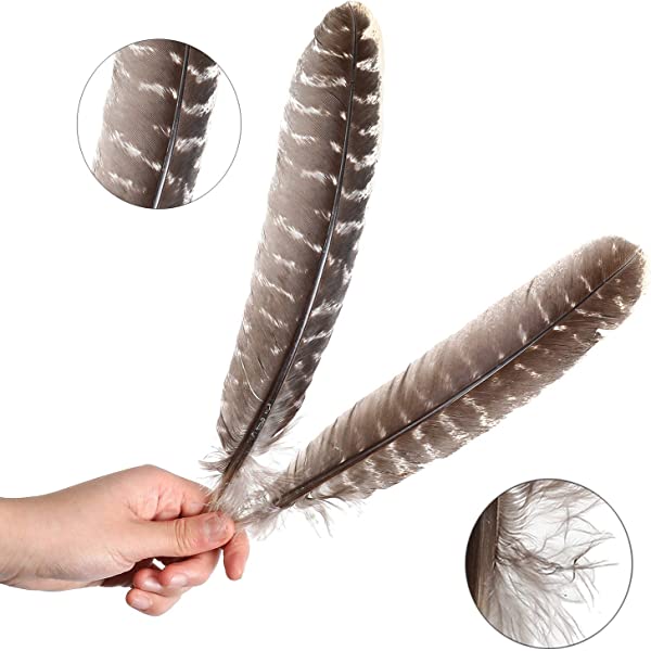 Natural Turkey Feathers Bulk