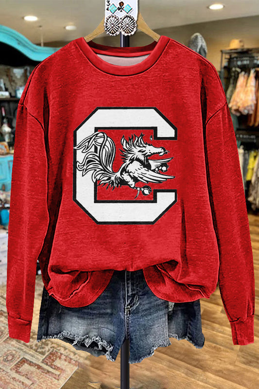 Classic Colorblock South Carolina Gamecocks Sweatshirt