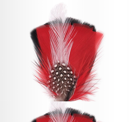 Hat Feather one D