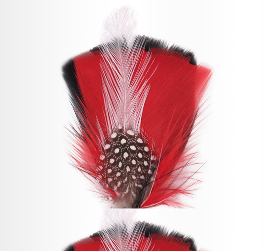 Hat Feather one D