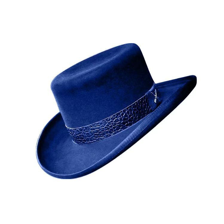 Special  Fedora Hat