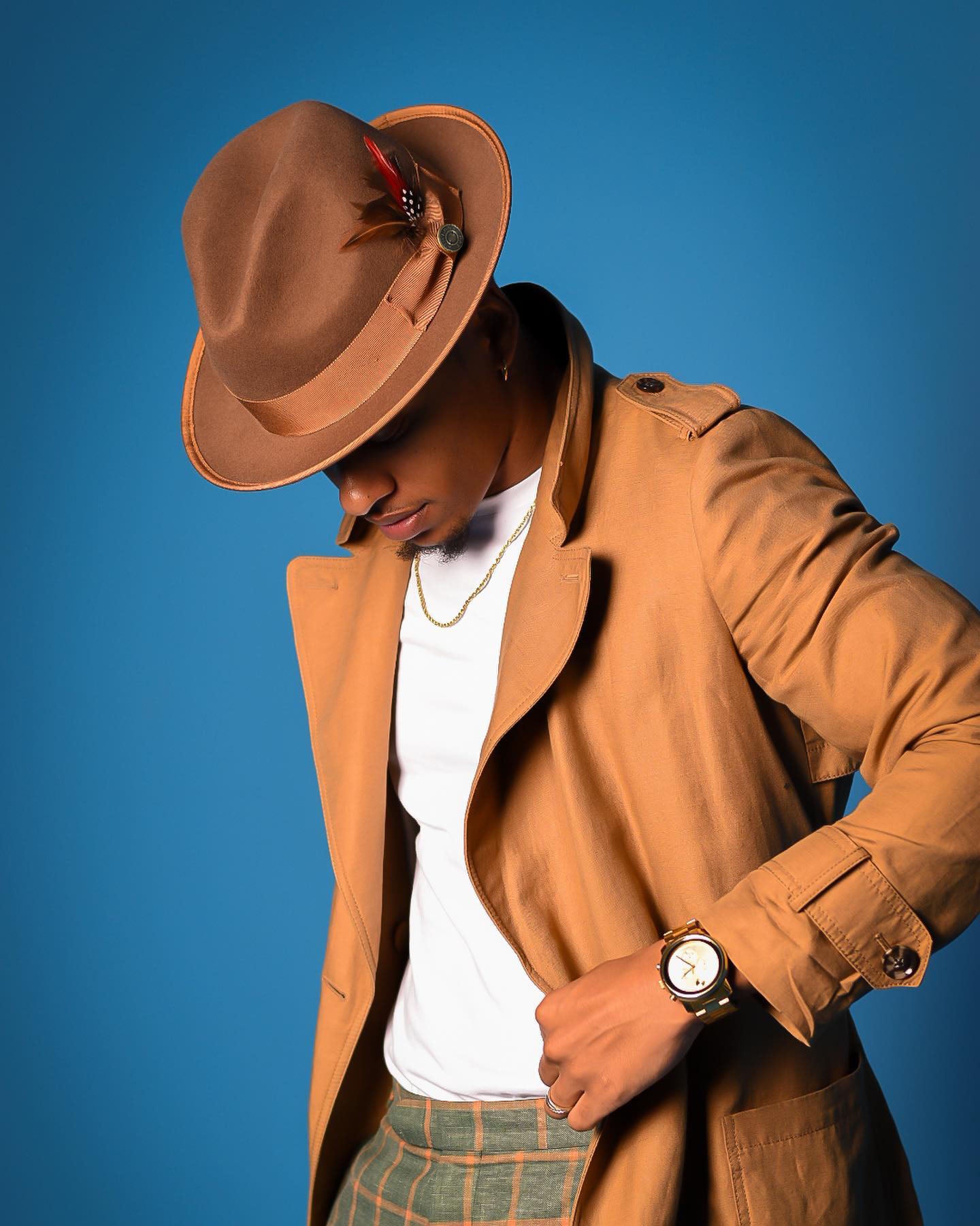 Ronnie Bikary Fedora – Brown[Fast shipping and box packing]