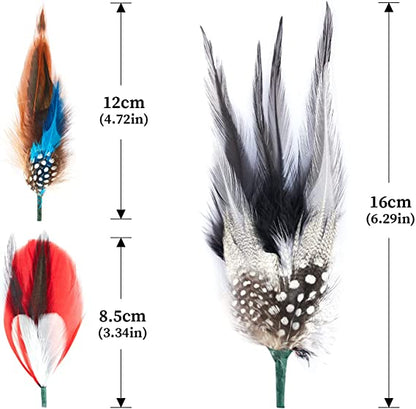 Natural Feather Packs Accessories for Hats