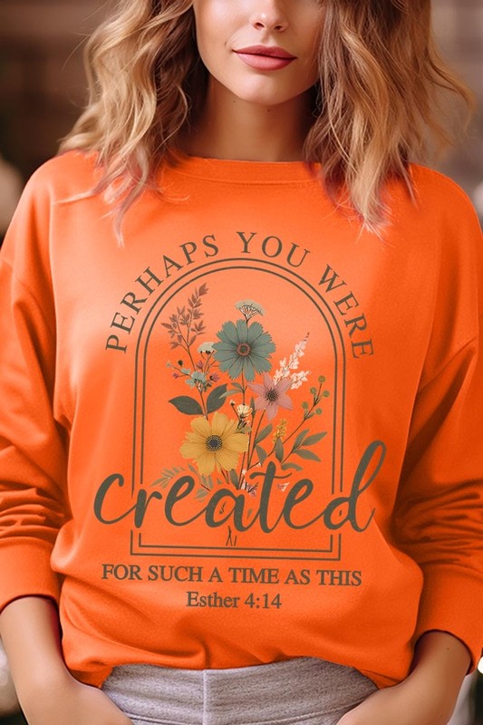 Perhaps You Were Created Graphic Sweatshirt choice of colors