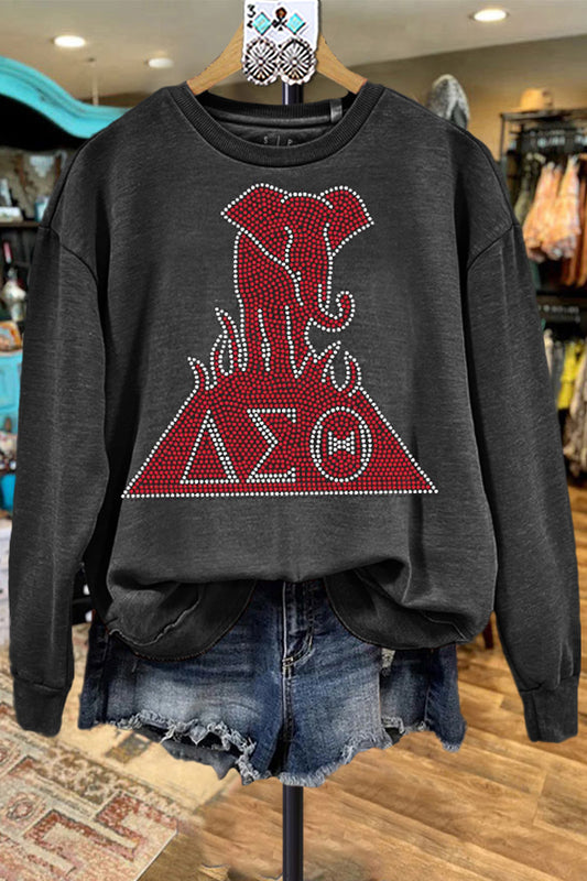 Elegant Contrasting Color Delta Sigma Theta Sweatshirt