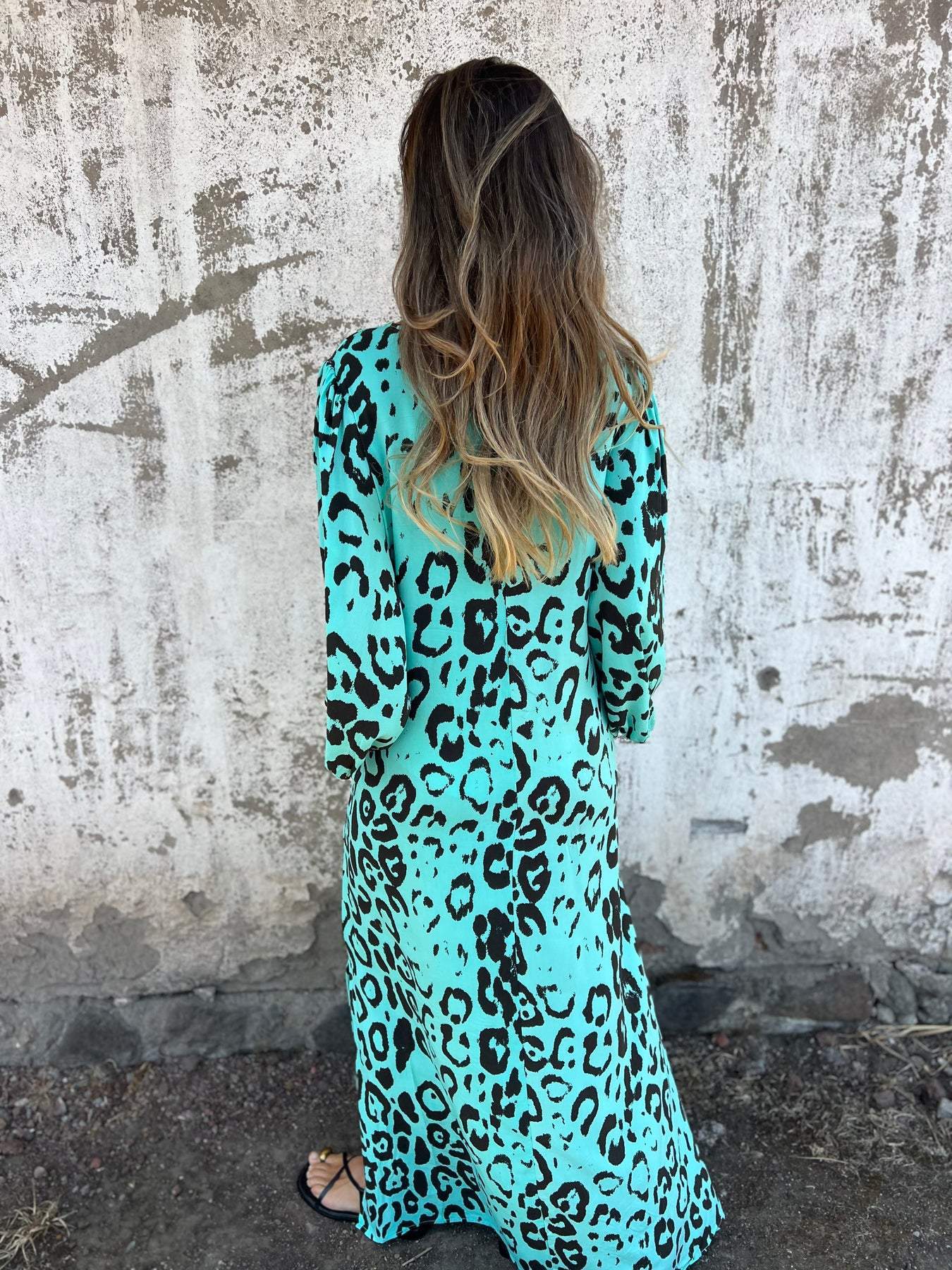 Women's V-neck Long-sleeved Leopard Print Dress