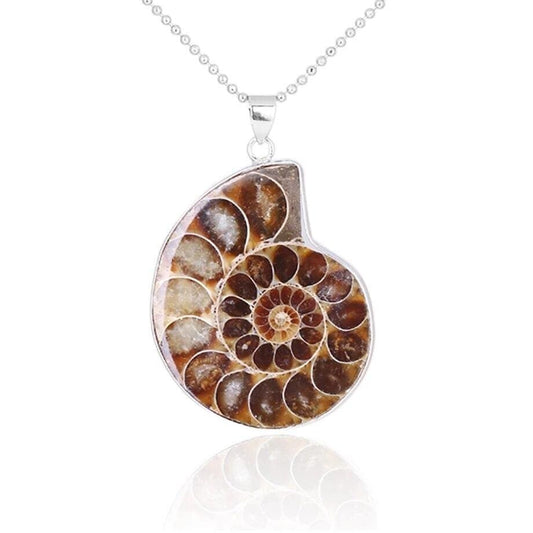 Natural Ammonite Snail Shell Necklace