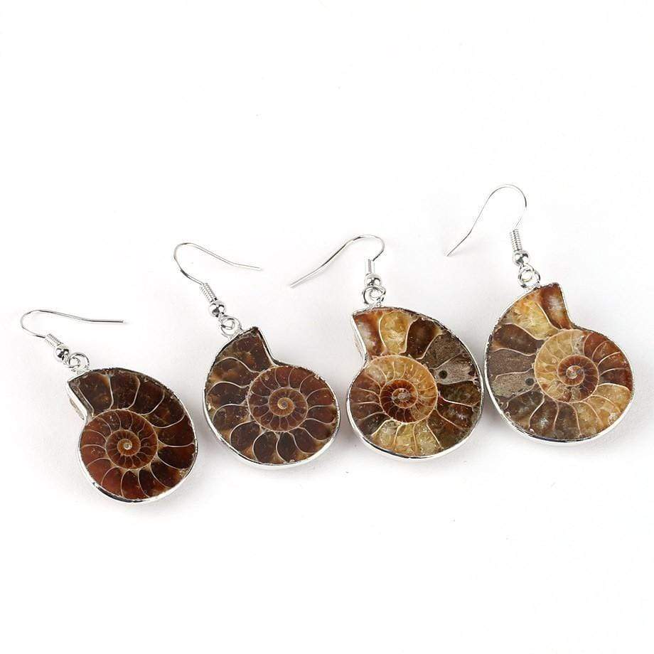 Seashell Fossils Drop Earrings