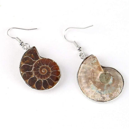 Seashell Fossils Drop Earrings