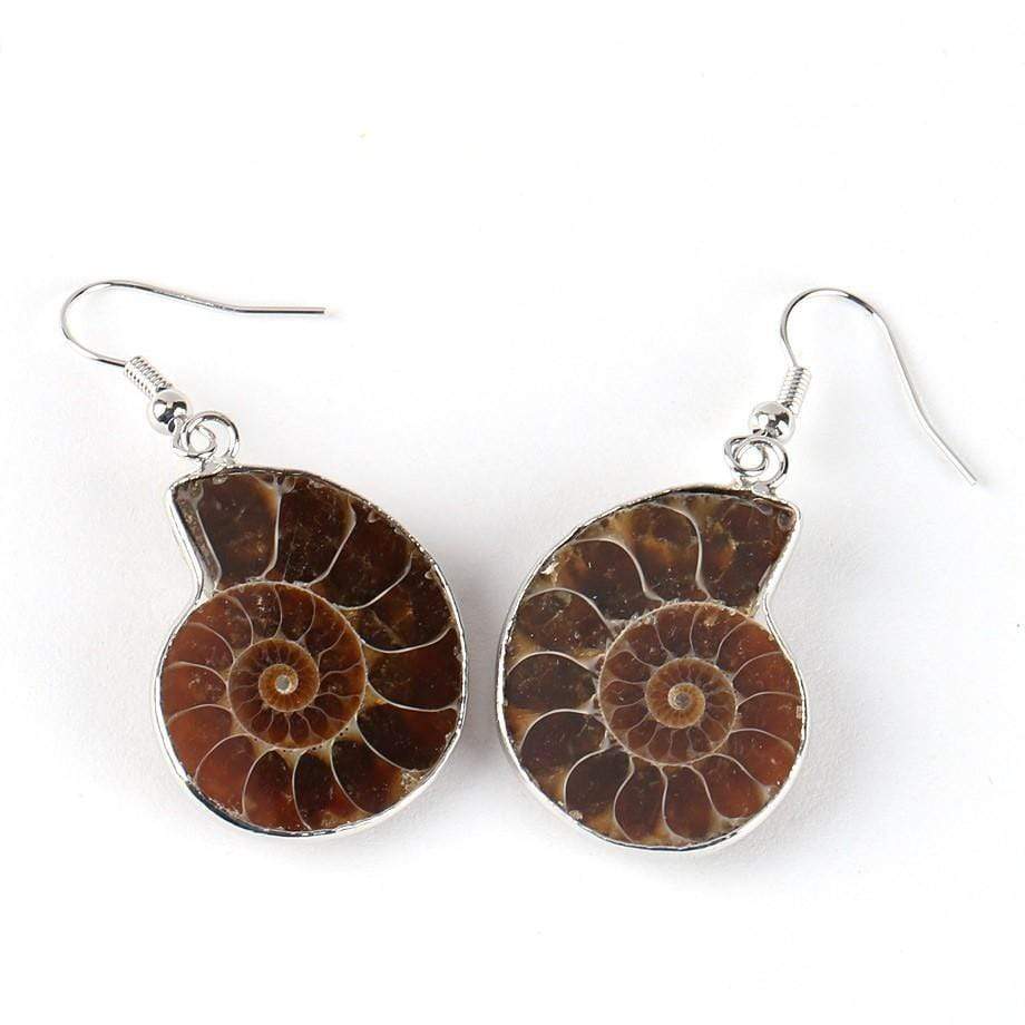 Seashell Fossils Drop Earrings