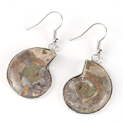 Seashell Fossils Drop Earrings