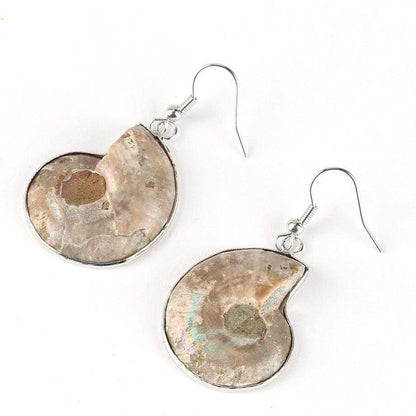 Seashell Fossils Drop Earrings