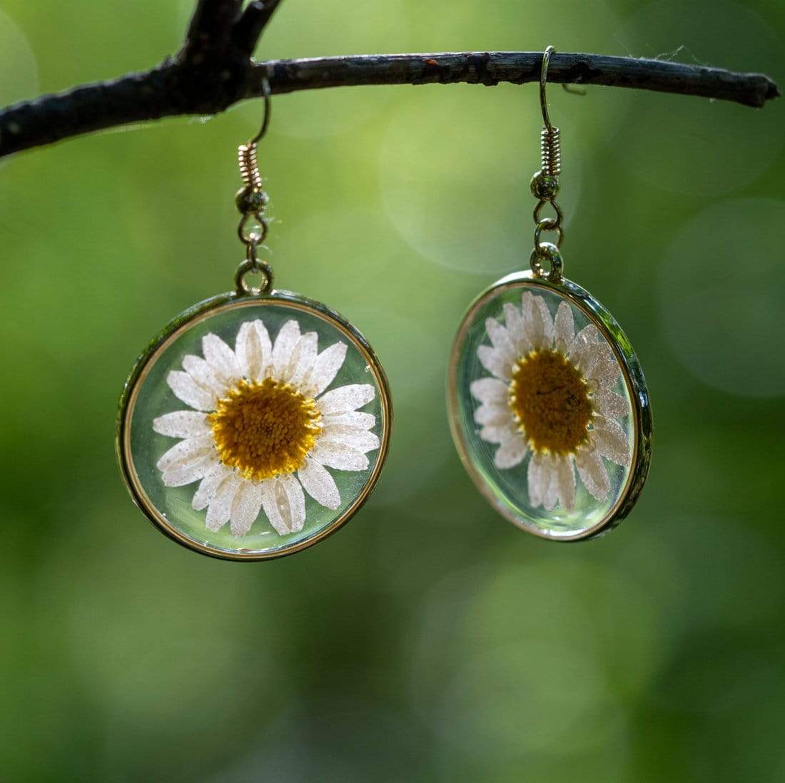 White Daisies Pressed Flower Earrings