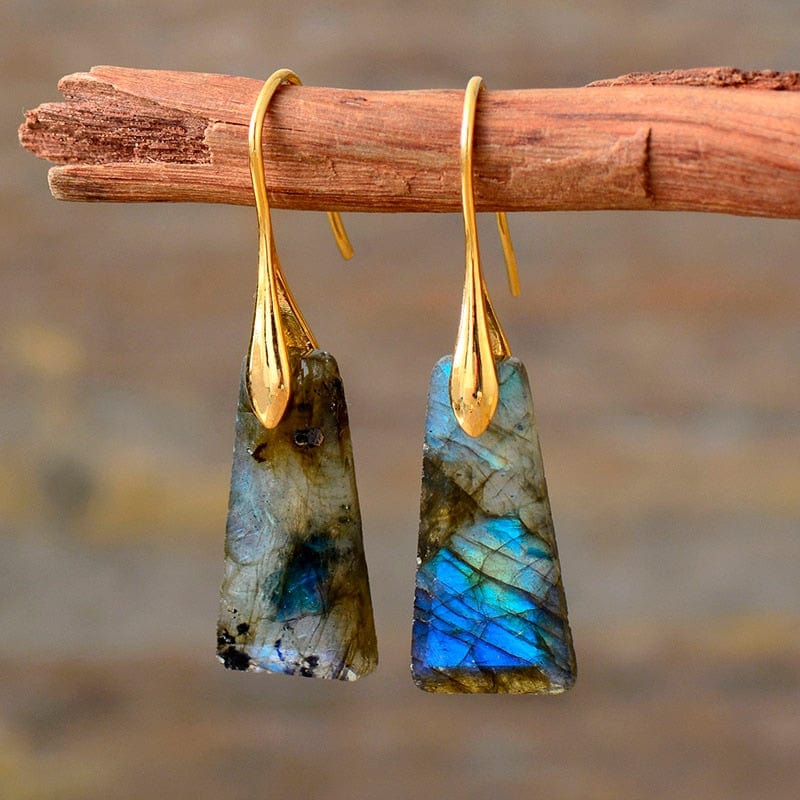 Earth Stone Dangle Earrings